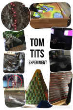 Collage: Tom Tits Experiment